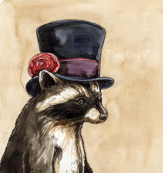A Top Hat Raccoon  (an original hand painted dapper one)