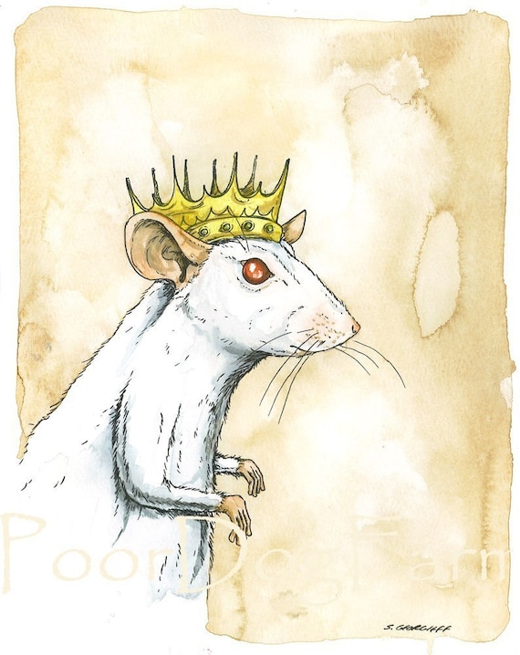 Rat King, an art canvas by cyborgmermaid - INPRNT