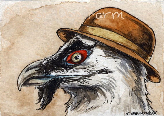 A Bearded Vulture in a Hat ~ Watercolor prints