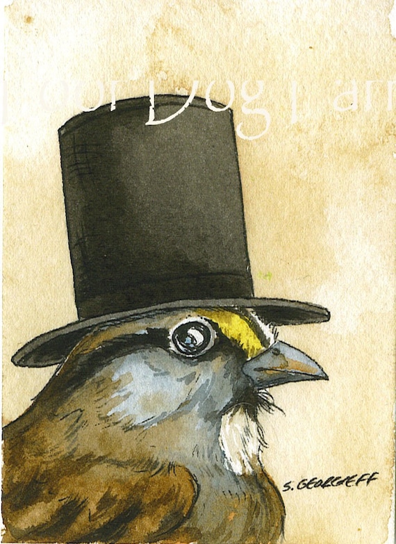 Honest Abe Sparrow - 8 x 10 print