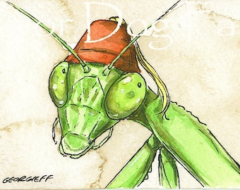 Praying Mantis in a Fez- 5 x 7 print