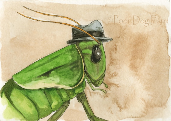 A Handsome Little Bush Cricket- watercolor print