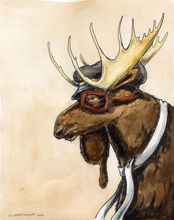 The Moose a Wild One  (an original hand painted wild one)