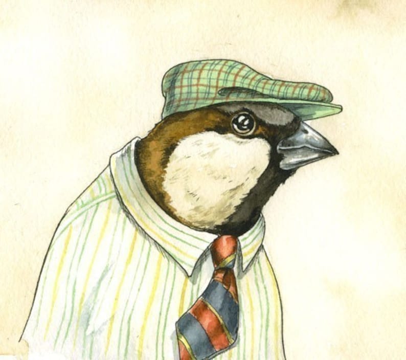 dapper house dapper house