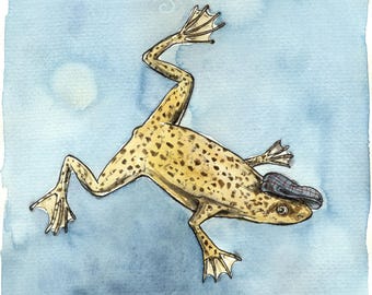 A little African Dwarf Frog (an original hand painted little one)