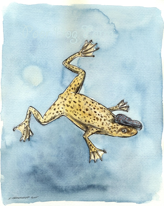 A little African Dwarf Frog (an original hand painted little one)