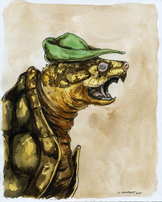 The Suwannee Alligator Snapping Turtle (an original hand painted one)