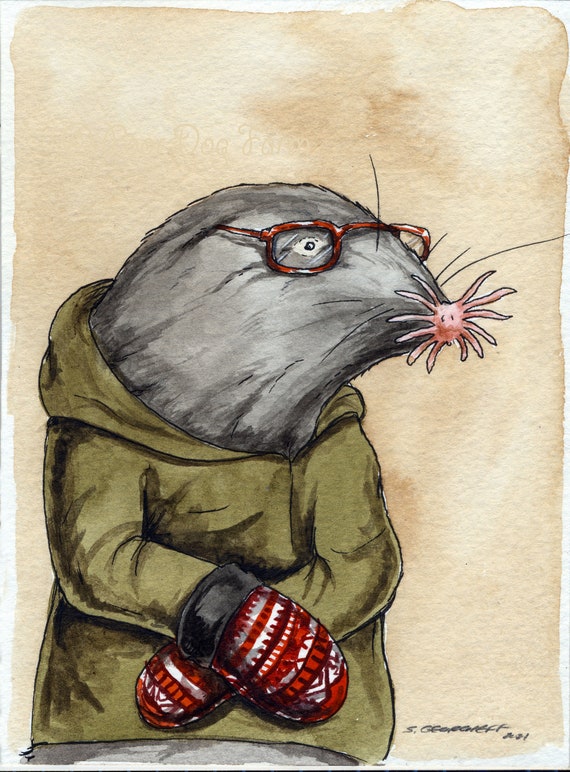 The Lavish Star Nose Mole -watercolor  Print