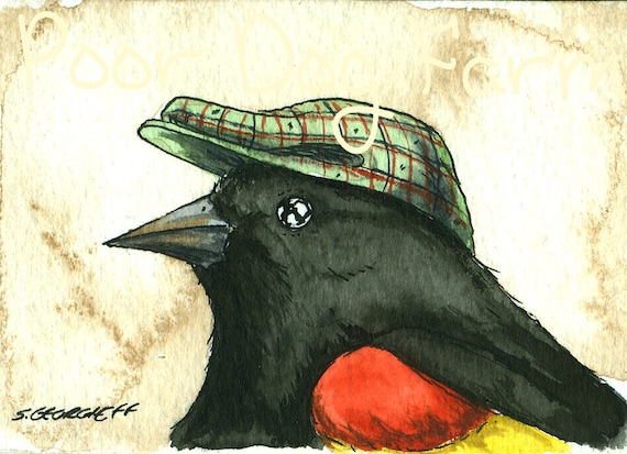 oh.. that I might die.... Red-winged Blackbird in a Hat