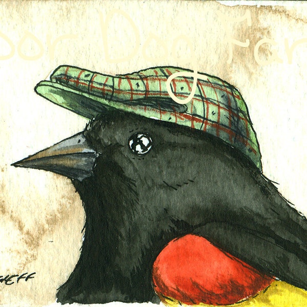 oh.. that I might die.... Red-winged Blackbird in a Hat
