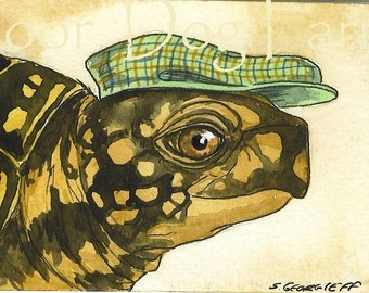 Another turtle in a hat ~ watercolor print