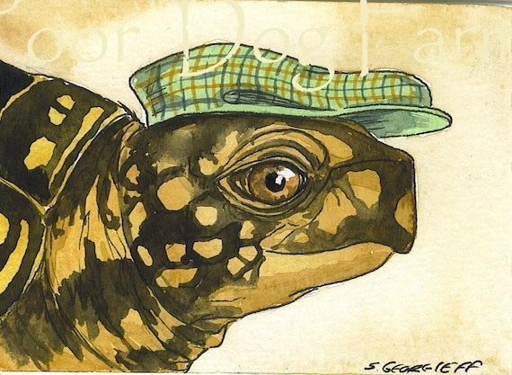 Another turtle in a hat ~ watercolor print