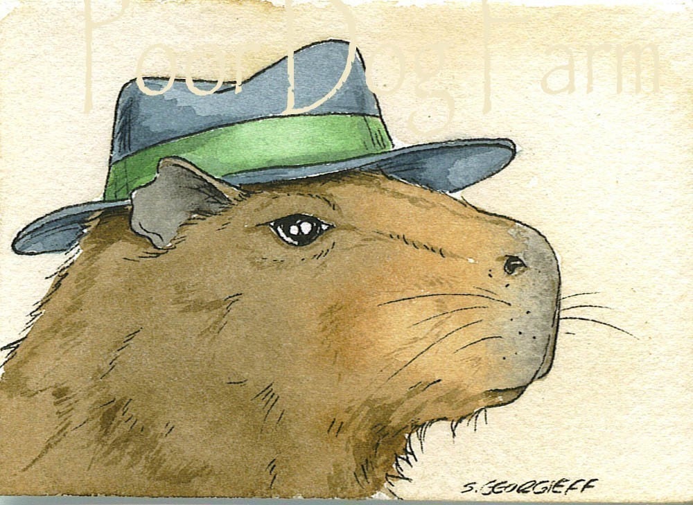 Capybara Art Print  Capivara, Fotos de capivara, Capivara desenho