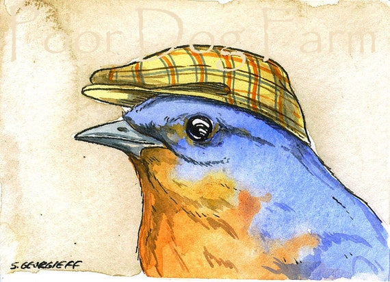 Bluebird with hat-