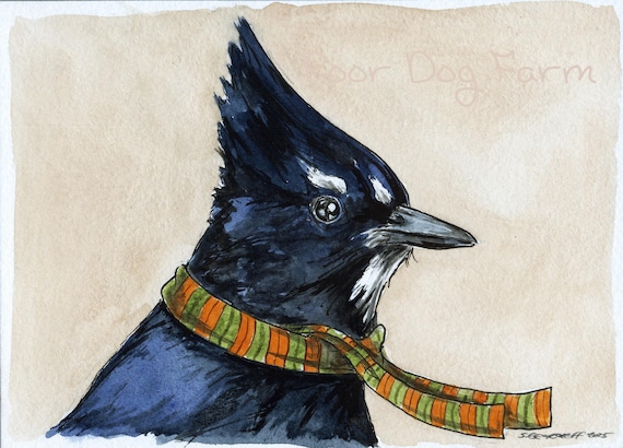 Steller's Jay- ~ signed watercolor print