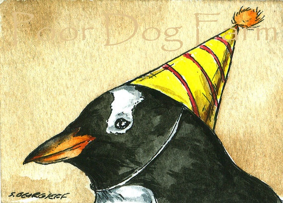 Party Penguins no 1 (in a series) Gentoo Penguin
