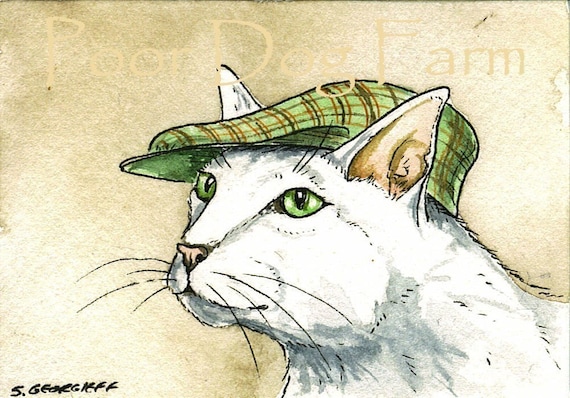 White Cat with a hat