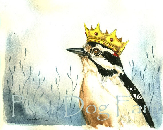 Bird watercolor art- Downy Woodpecker King -print after original watercolor