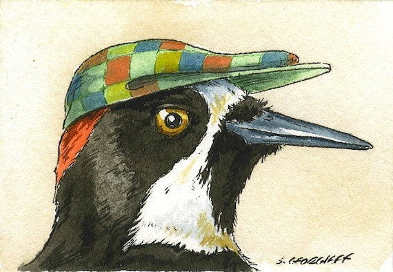 Acorn Woodpecker with hat ~ watercolor print