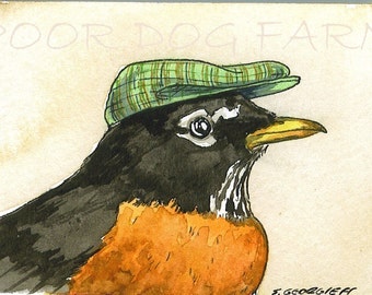 Robin with hat