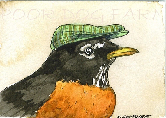Robin with hat