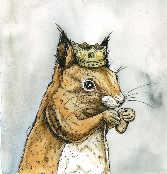 Red Squirrel King