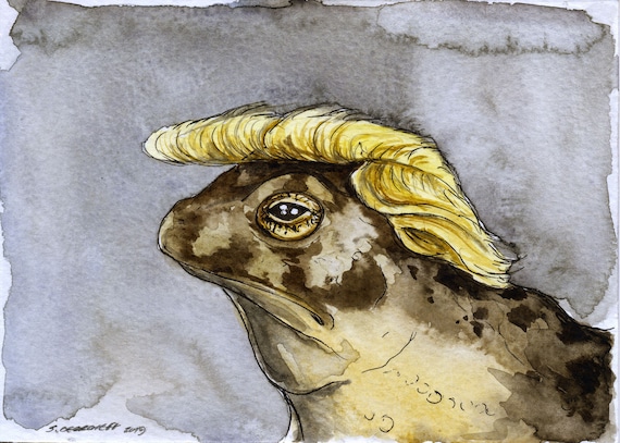 A Trump-Toad?