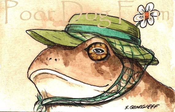 The Lovely Lady Toad