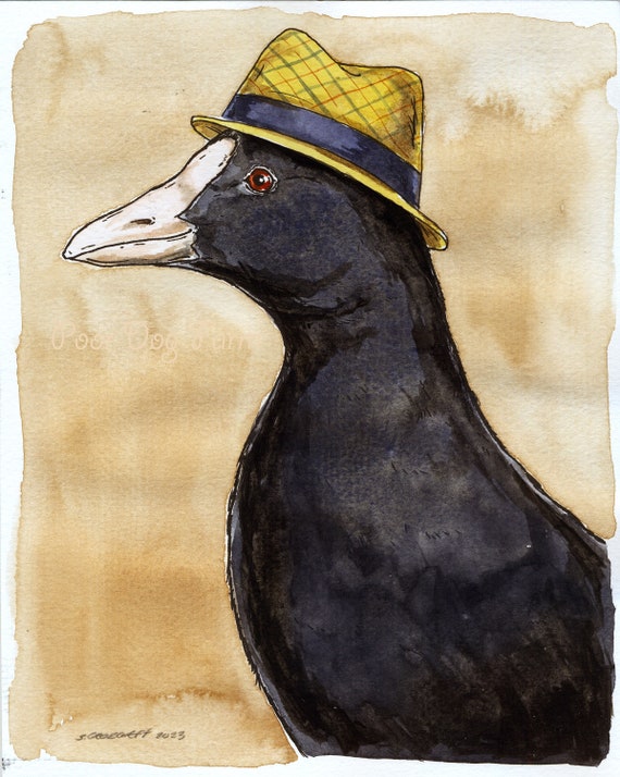 A Dapper  Eurasian Coot (an original hand painted one)