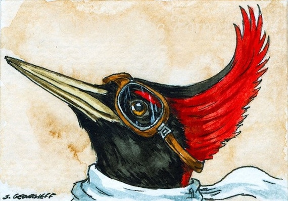 The Imperial Woodpecker ~~ No 48  of 100 series- ~ signed watercolor print