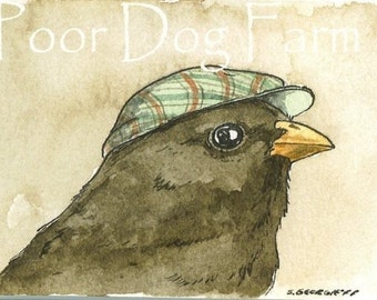Junco with hat