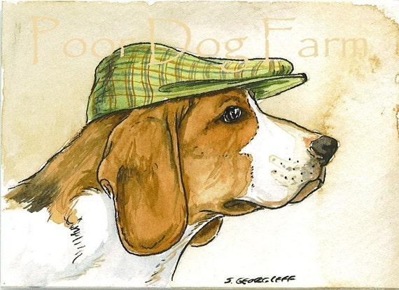A Beagle with hat