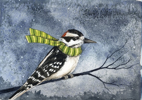 Cold Woodpecker Winter  -  watercolor print
