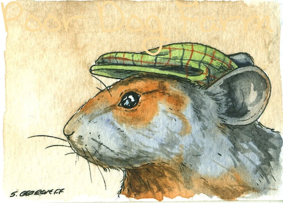 Pika in a Hat