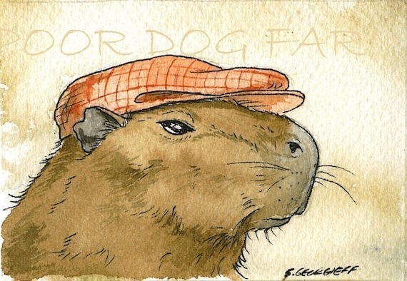 Capybara in Pink