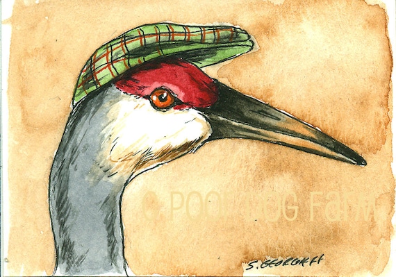 Sand Hill Crane with a hat -