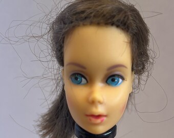 TLC TNT Brunette Barbie (tête uniquement).