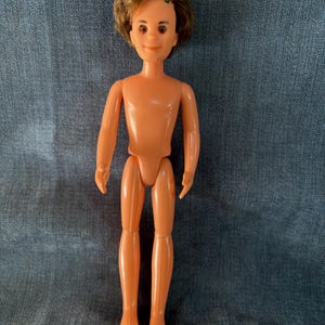 May include: A plastic doll with brown hair and a nude body. The doll has a painted face with brown eyes and a smile.