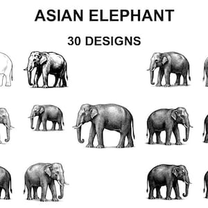 May include: A collection of black and white illustrations of Asian elephants. The image features the text "ASIAN ELEPHANT" and "30 DESIGNS". The drawings showcase elephants in different stances, with detailed shading and textures.