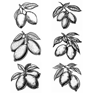 Mango SVG Pack 124 Designs. Mango SVG, Mango, Cricut SVG, Fruit, Lasercut svg, Fruit Art, Fruit svg