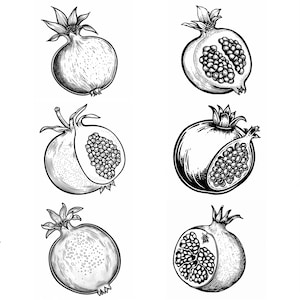 Pomegranate SVG Pack: 108 Fruit Designs, Cricut & Laser Cut (Digital Download)