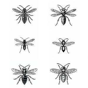 Wasp SVG Bundle: 103 Insect Designs (Digital Download)