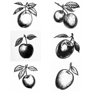 Puede incluir: Doce dibujos en blanco y negro de manzanas con hojas en ramas. Las manzanas están dibujadas en un estilo vintage.