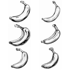 Banana SVG Pack 117 Designs. Banana SVG, Banana, Cricut SVG, Fruit, Lasercut svg, Fruit Art, Fruit svg