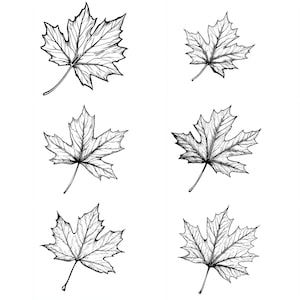 Ahornblatt SVG-Pack 120 Designs. Ahornblatt SVG, Ahornblatt PNG, Laser geschnitten, Ahornblatt, Clip Art, svg, png, jpg