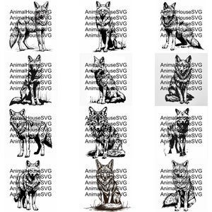 Pu&ograve; includere: Un set di 20 illustrazioni digitali in bianco e nero di un coyote in varie pose. Il coyote &egrave; raffigurato in uno stile realistico con pelliccia e tratti del viso dettagliati. Le illustrazioni sono perfette per l'uso in una variet&agrave; di progetti, come lo scrapbooking, la creazione di biglietti e la progettazione digitale.
