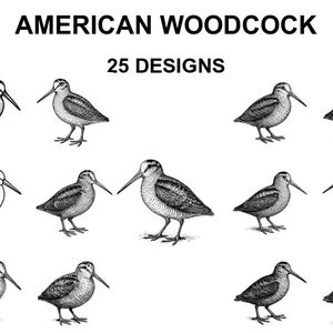 Può includere: Illustrazioni in bianco e nero di beccacce americane in varie pose. L'immagine include il testo "AMERICAN WOODCOCK" e "25 DESIGNS". Gli uccelli sono raffigurati con lunghi becchi e dettagliate piume.
