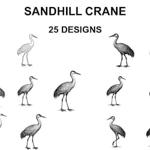 May include: An image featuring 25 Sandhill Crane designs in various poses. The illustrations are in black and white, showcasing the bird's long legs, neck, and distinctive features. The text "SANDHILL CRANE" and "25 DESIGNS" are displayed at the top.