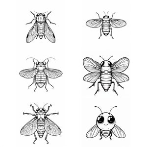 Cute Cicada SVG Pack 96 Unique Designs. Cute Cicada SVG, Cute Cicada JPG, Cute Cicada Lasercut svg, Insect Art, Insect svg