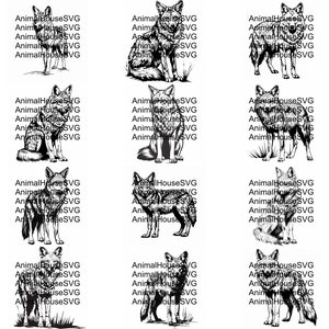Pu&ograve; includere: Un set di 20 illustrazioni digitali in bianco e nero di un coyote, un tipo di cane selvatico, in varie pose. Le illustrazioni sono in uno stile semplice, di linea.